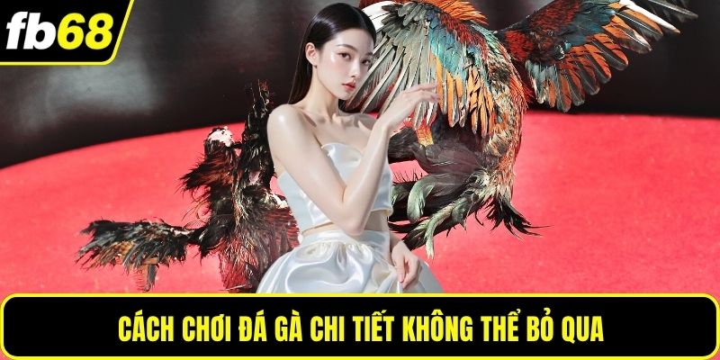 Cách chơi đá gà chi tiết không thể bỏ qua