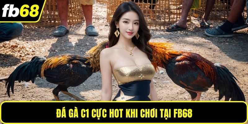 Đá gà C1 cực hot khi chơi tại FB68