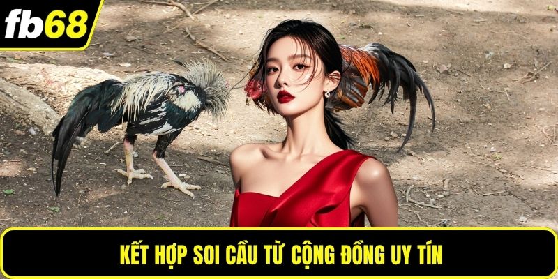 Kết hợp soi cầu từ cộng đồng uy tín