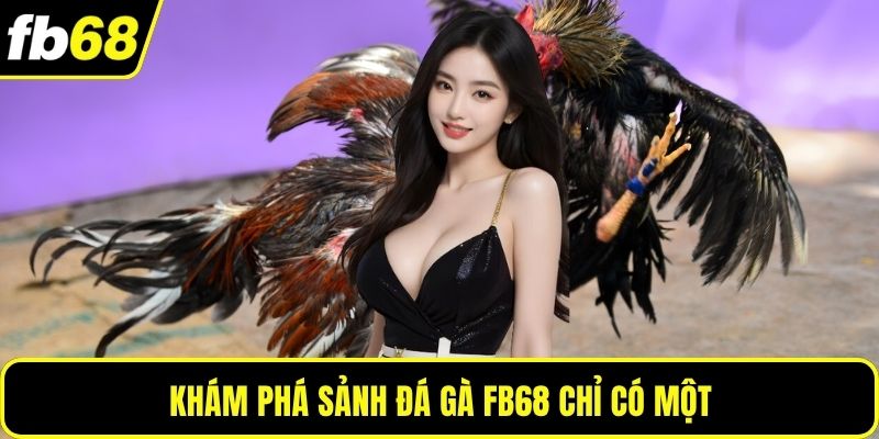 Khám phá sảnh đá gà FB68 chỉ có một