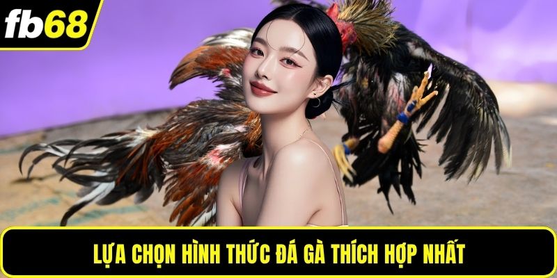 Lựa chọn hình thức đá gà thích hợp nhất