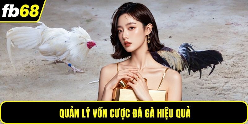 Quản lý vốn cược đá gà hiệu quả