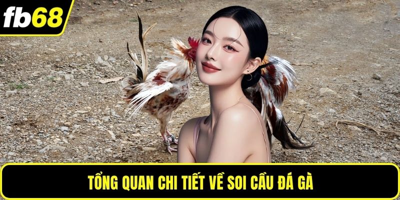 Tổng quan chi tiết về soi cầu đá gà