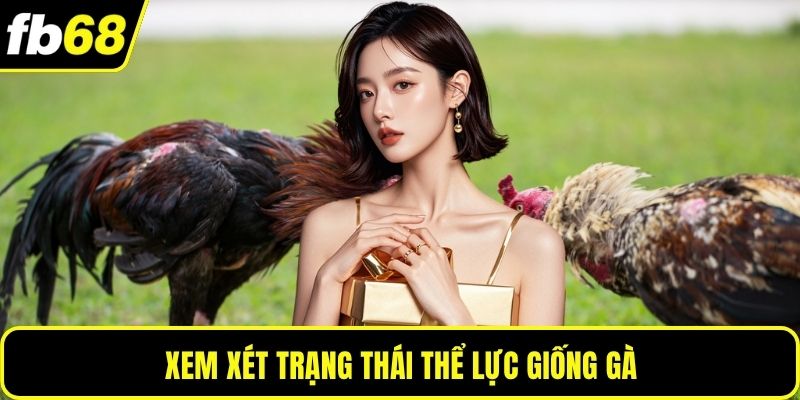 Xem xét trạng thái thể lực giống gà